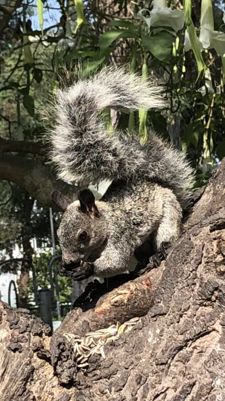 luzcas1106 uploaded   7  day/s  ago