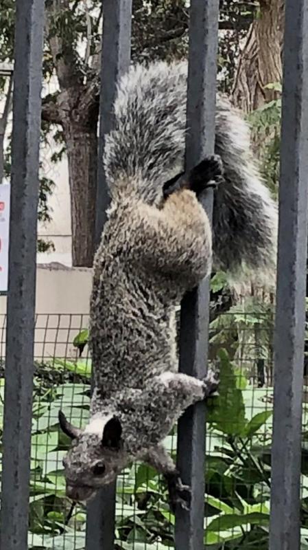 luzcas1106 uploaded   318  day/s  ago