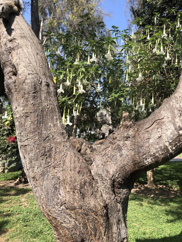 luzcas1106 uploaded   7  day/s  ago