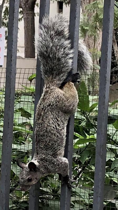 luzcas1106 uploaded   318  day/s  ago