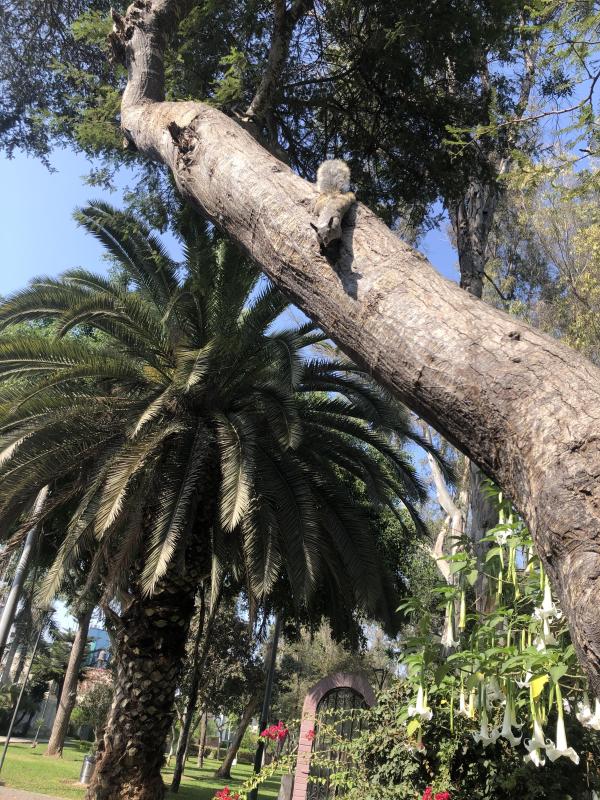 luzcas1106 uploaded   7  day/s  ago