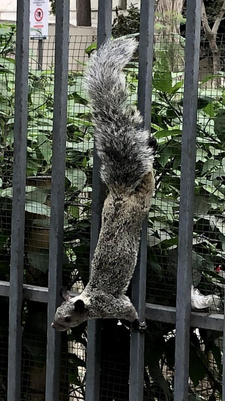 luzcas1106 uploaded   318  day/s  ago