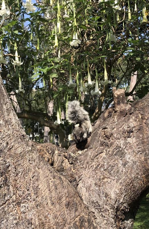 luzcas1106 uploaded   7  day/s  ago