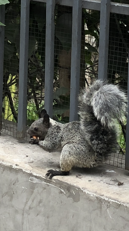 luzcas1106 uploaded   318  day/s  ago