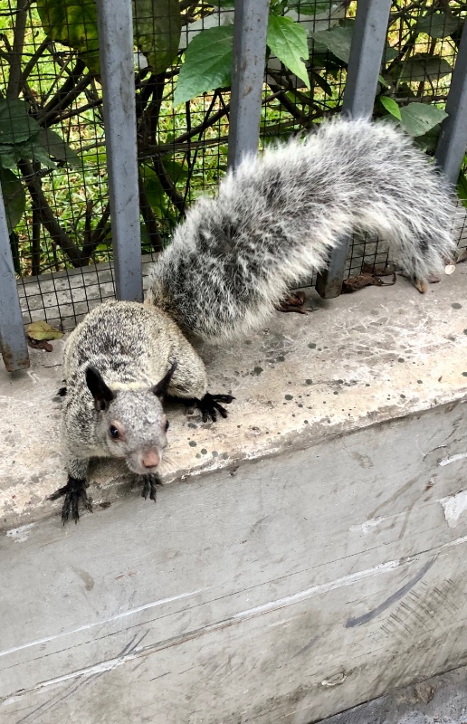 luzcas1106 uploaded   327  day/s  ago