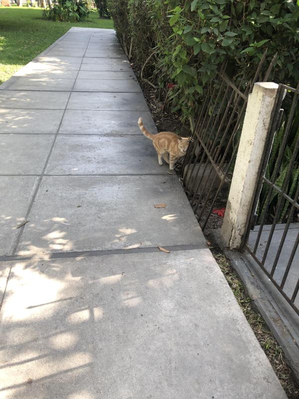 luzcas1106 uploaded   7  day/s  ago