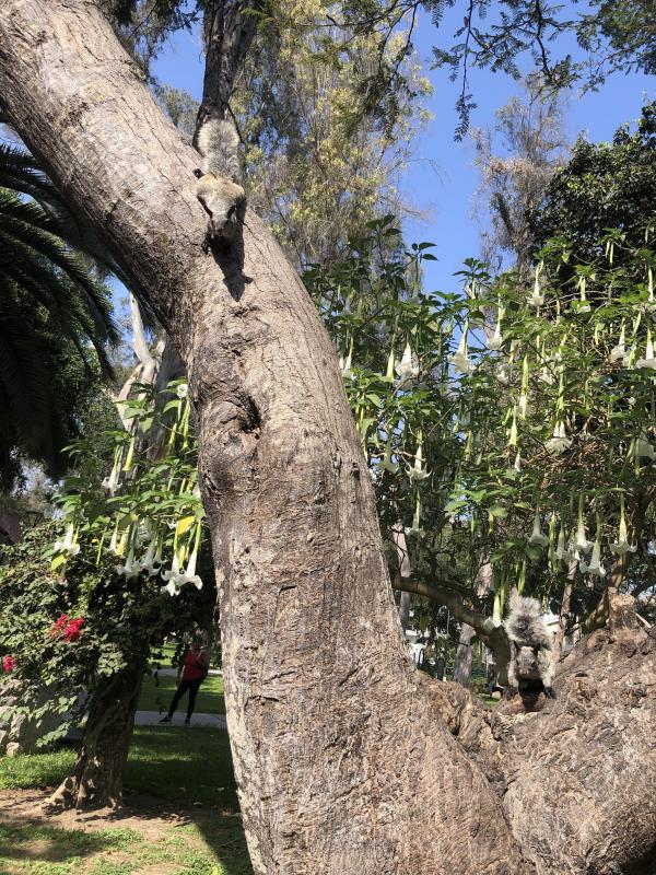 luzcas1106 uploaded   7  day/s  ago