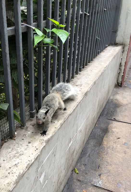 luzcas1106 uploaded   327  day/s  ago