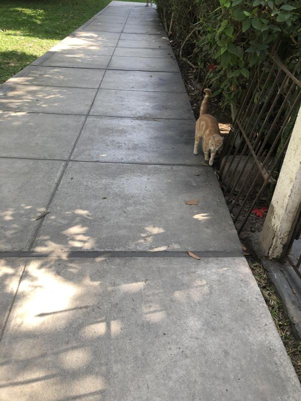 luzcas1106 uploaded   7  day/s  ago