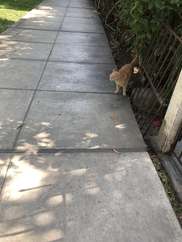 luzcas1106 uploaded   7  day/s  ago