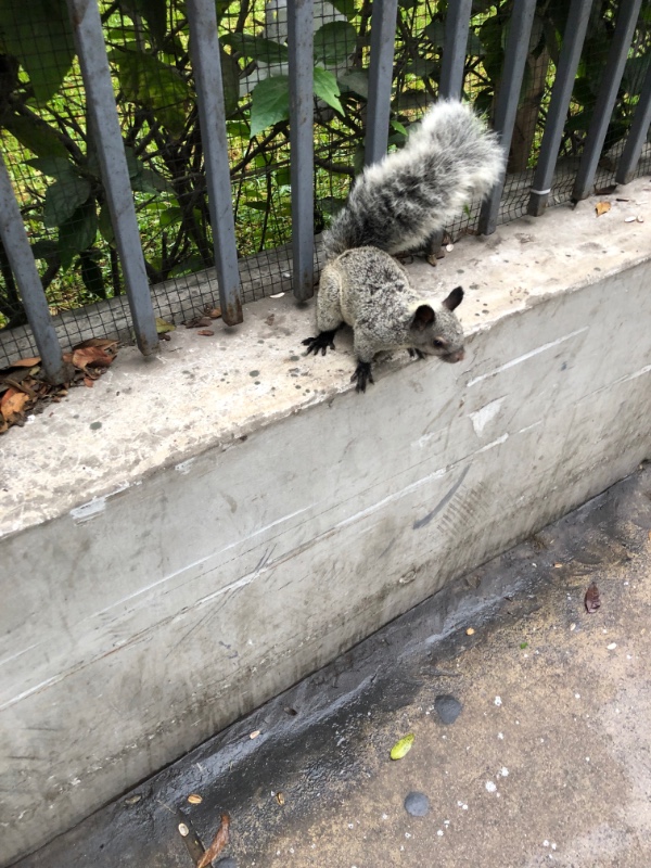 luzcas1106 uploaded   327  day/s  ago