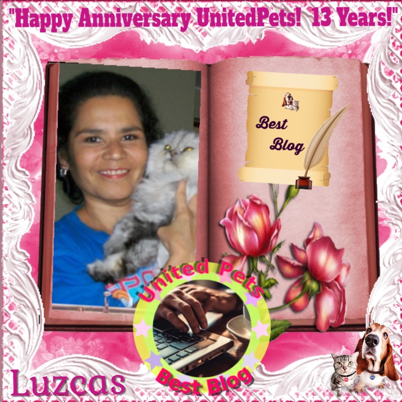 luzcas1106 uploaded   80  day/s  ago