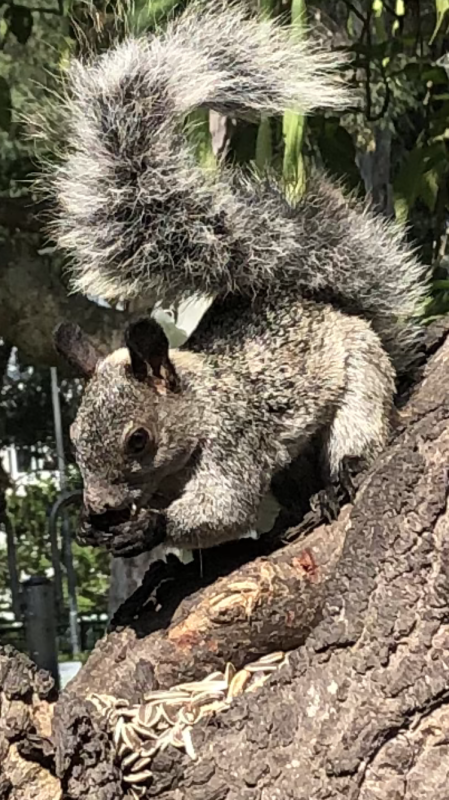 luzcas1106 uploaded   7  day/s  ago