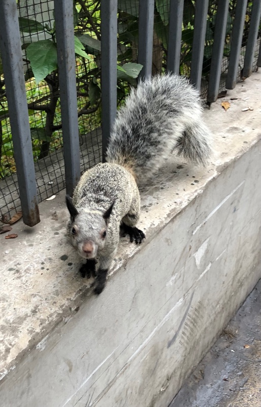 luzcas1106 uploaded   327  day/s  ago