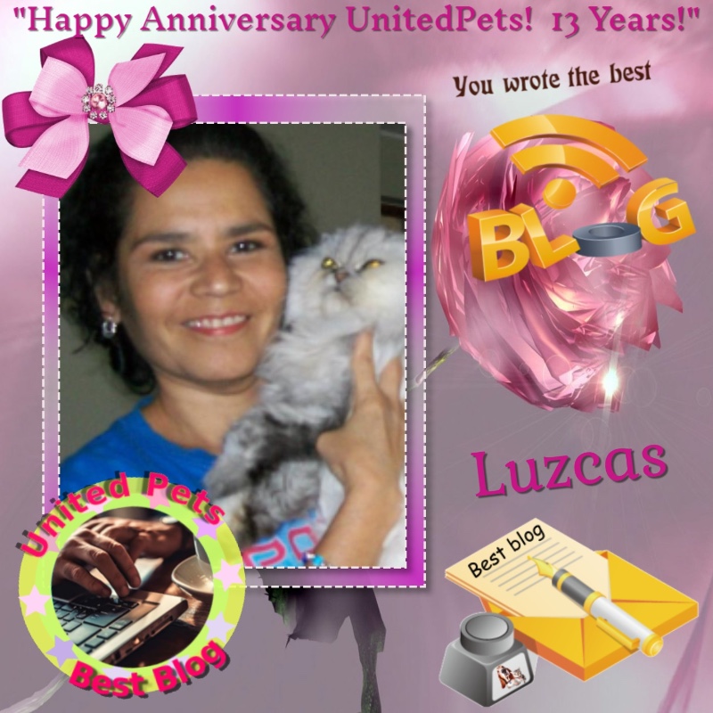luzcas1106 uploaded   73  day/s  ago