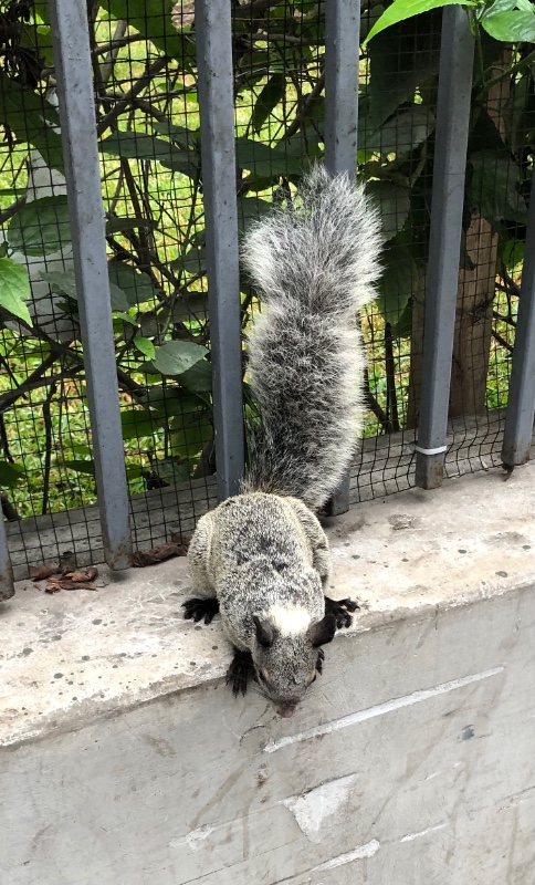 luzcas1106 uploaded   327  day/s  ago