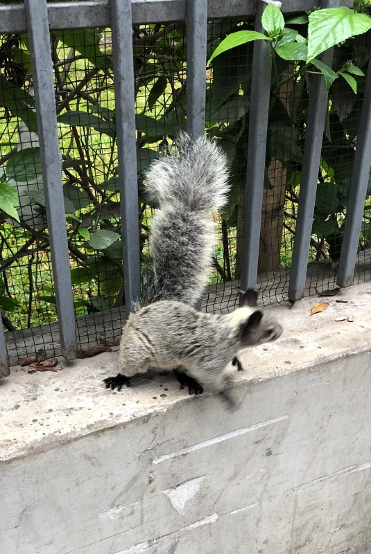 luzcas1106 uploaded   327  day/s  ago