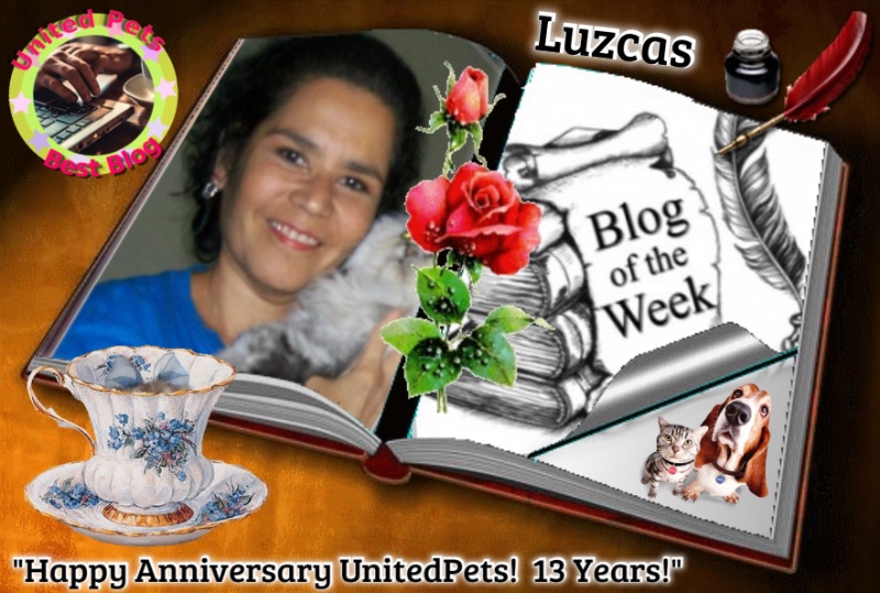 luzcas1106 uploaded   76  day/s  ago