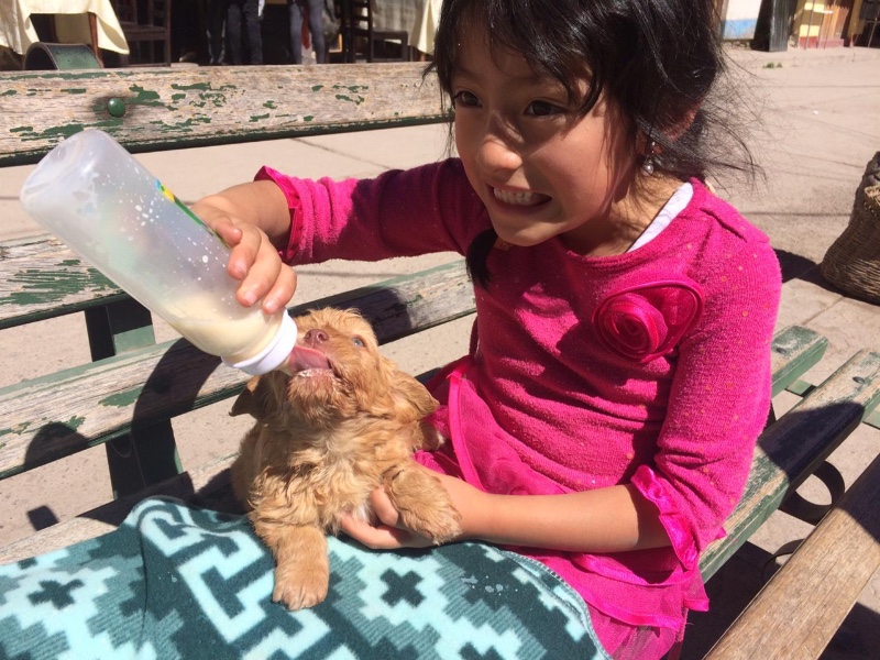 luzcas1106 uploaded   6 year/s ago