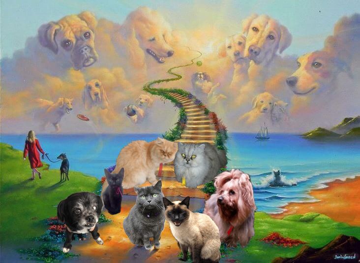 luzcas1106 uploaded   78  day/s  ago