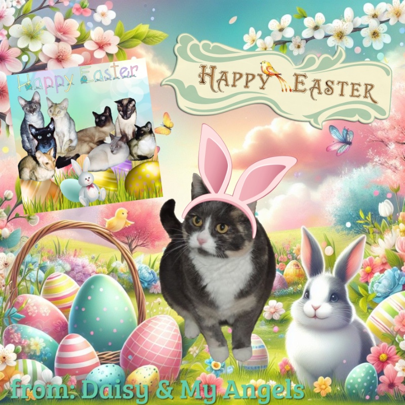 luzcas1106 uploaded   19 hour/s ago