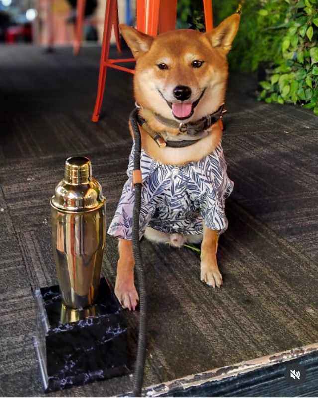 luzcas1106 uploaded   276  day/s  ago