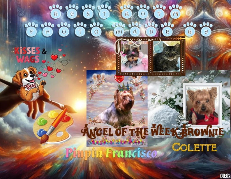 nyssen uploaded   83  day/s  ago