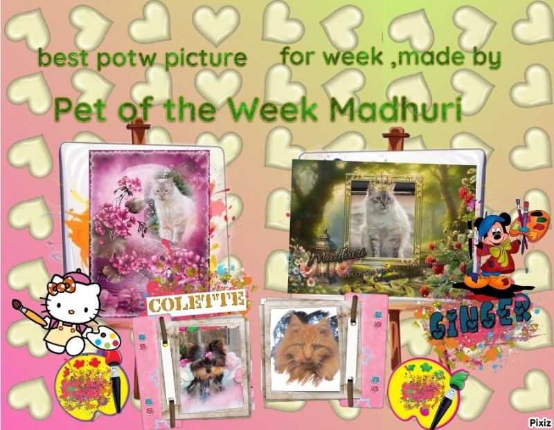 nyssen uploaded   27  day/s  ago