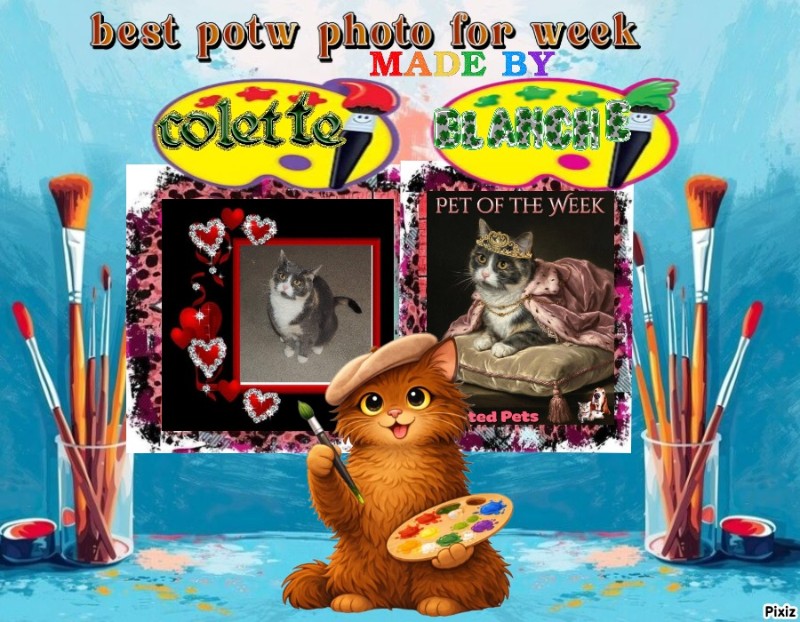 nyssen uploaded   60  day/s  ago