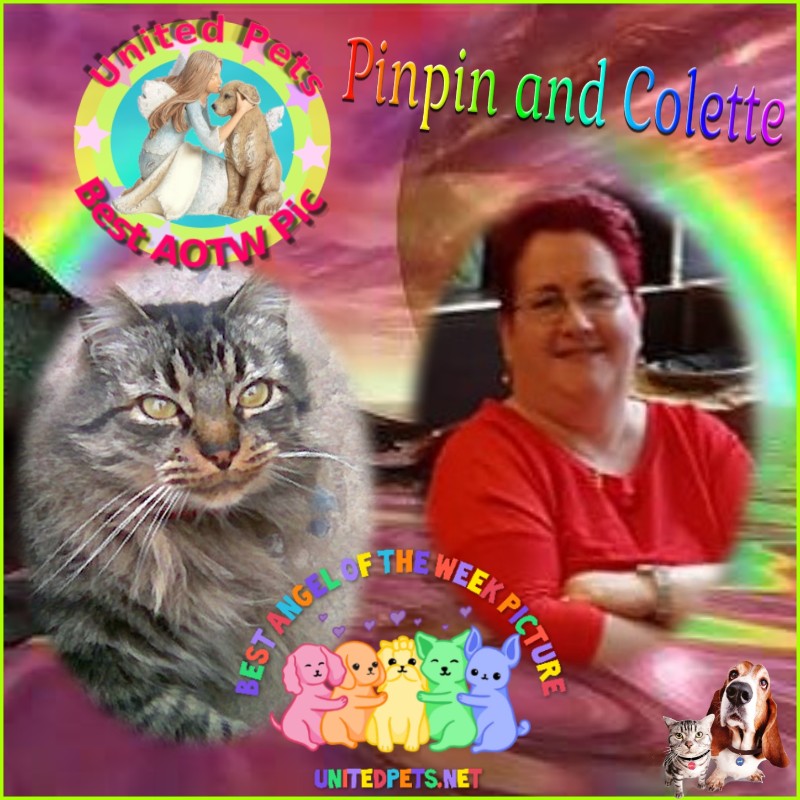 nyssen uploaded   81  day/s  ago