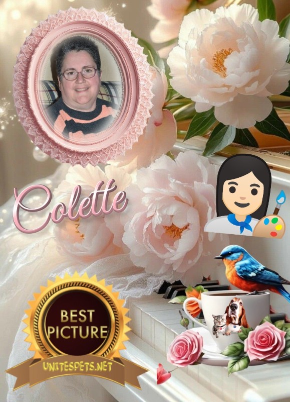 nyssen uploaded   52  day/s  ago