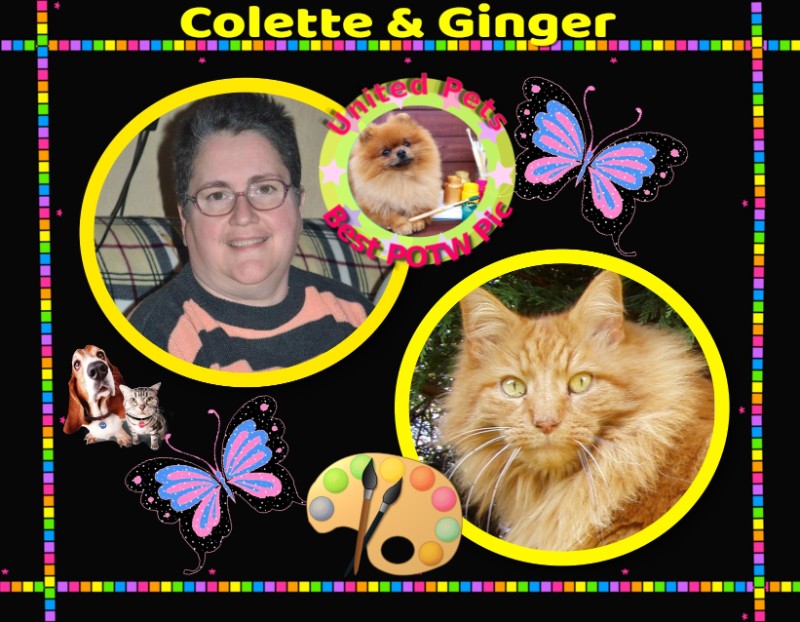 nyssen uploaded   26  day/s  ago