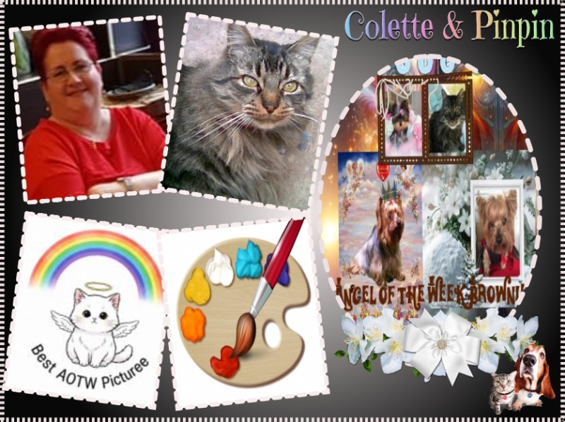 nyssen uploaded   77  day/s  ago