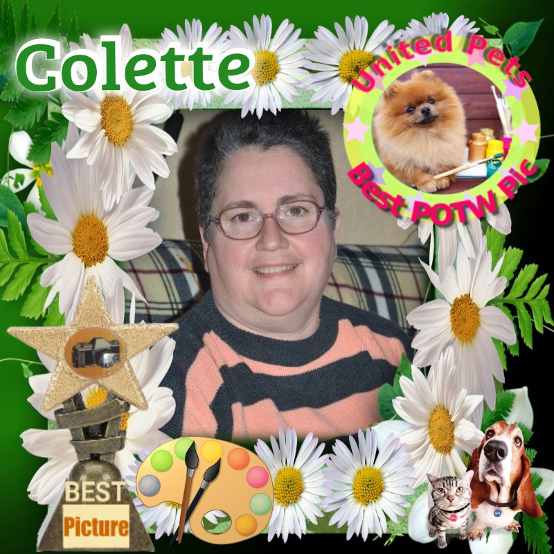 nyssen uploaded   56  day/s  ago