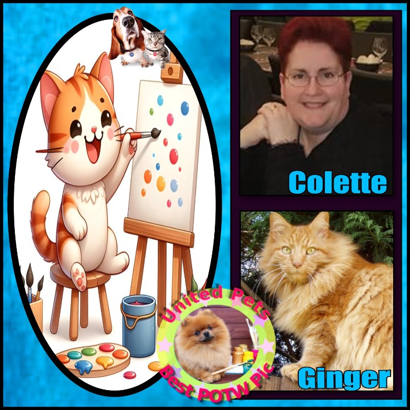 nyssen uploaded   21  day/s  ago