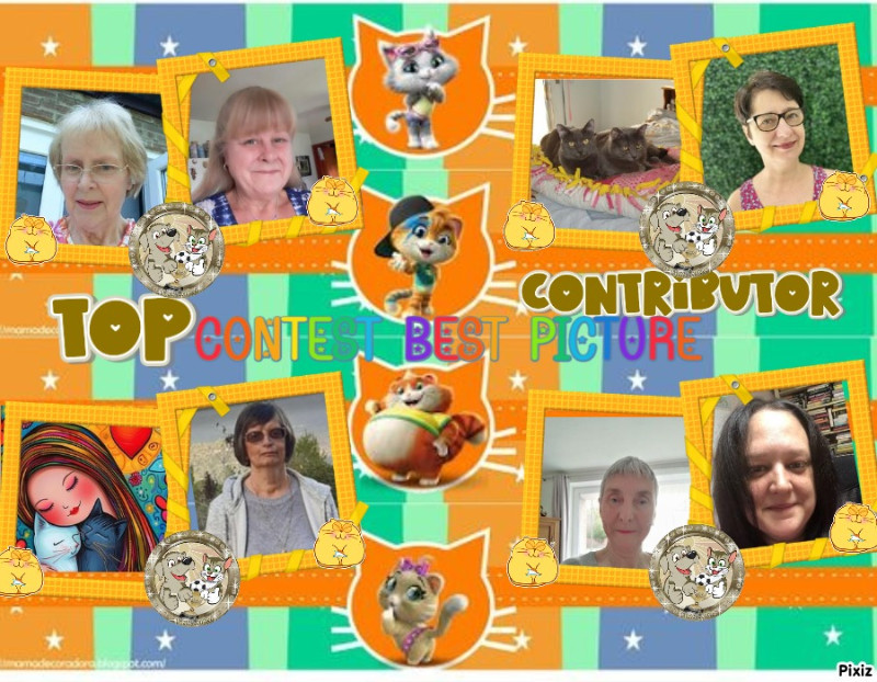 thebugster08 uploaded   1 year/s ago
