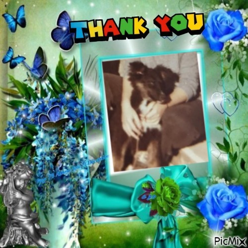 zoza1958 uploaded   1 year/s ago