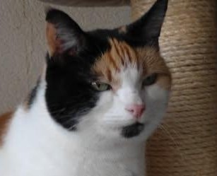 zoza1958 uploaded   1 year/s ago