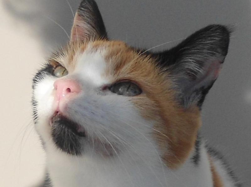 zoza1958 uploaded   1 year/s ago