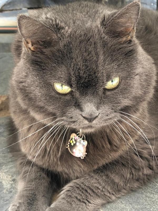 zoza1958 uploaded   344  day/s  ago