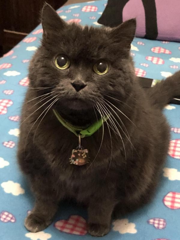 zoza1958 uploaded   344  day/s  ago