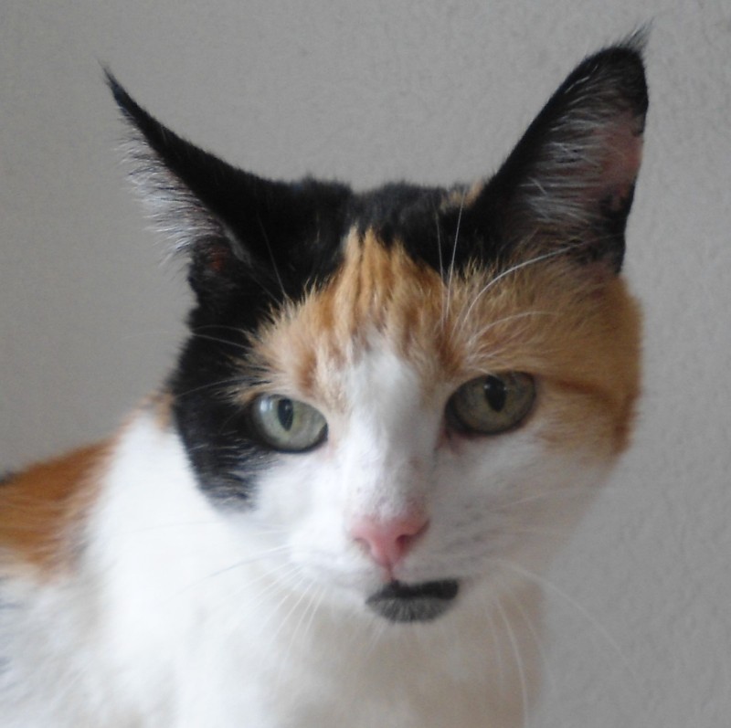 zoza1958 uploaded   1 year/s ago