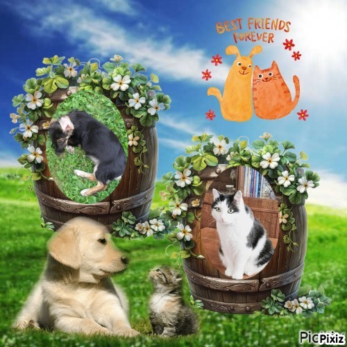 zoza1958 uploaded   297  day/s  ago
