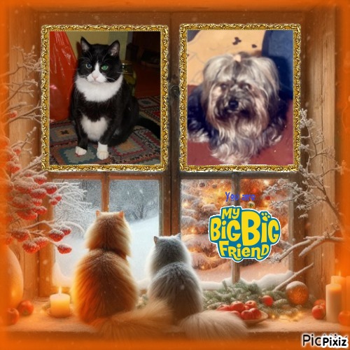 zoza1958 uploaded   94  day/s  ago