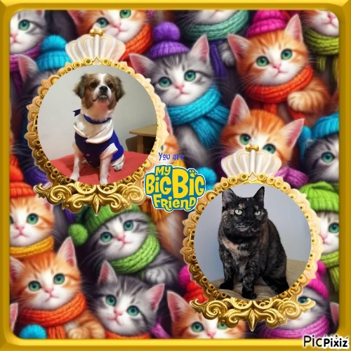 zoza1958 uploaded   34  day/s  ago