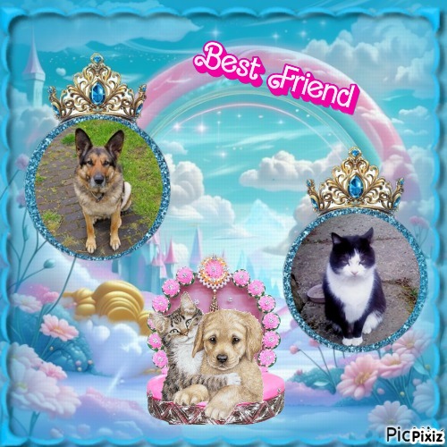 zoza1958 uploaded   23  day/s  ago