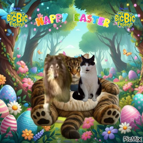 zoza1958 uploaded   7  day/s  ago