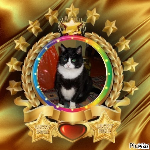 zoza1958 uploaded   90  day/s  ago