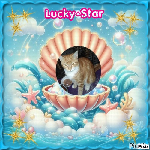 zoza1958 uploaded   90  day/s  ago