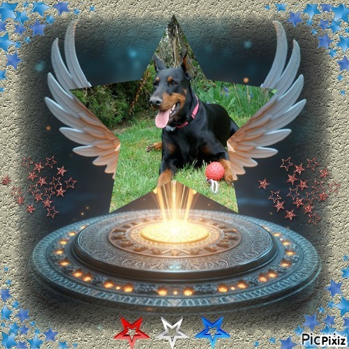 zoza1958 uploaded   66  day/s  ago